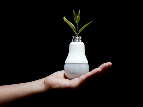 BludauPartners | New Visions