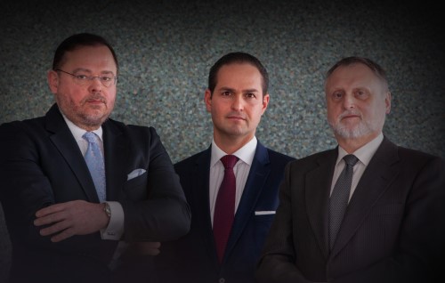 BludauPartners | Executive Development