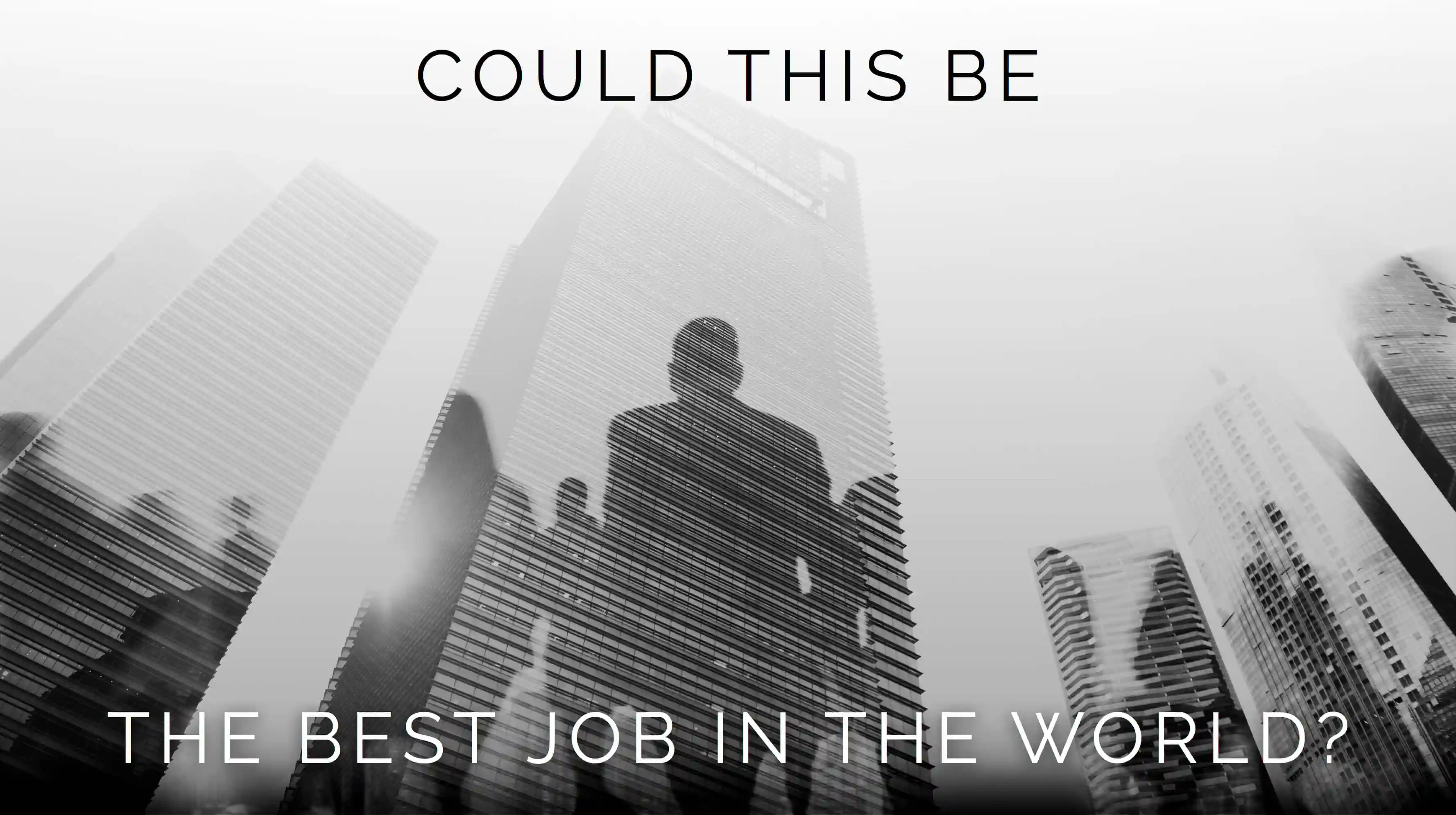 Der Bewerbungsprozess bei BludauPartners