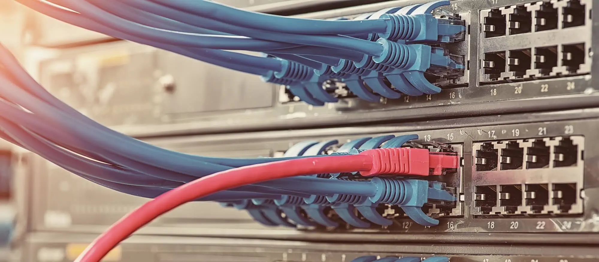 BludauPartners | Sicherstellung eines voll digitalisierten Workflows